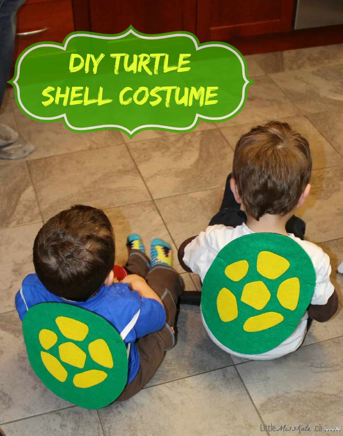 DIY Teenage Mutant Ninja Turtle Shell Costume with pattern - The ...