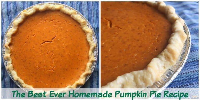 The Best Homemade Pumpkin Pie Recipe With Canned Pumpkin The Exploring Family The Best Homemade Pumpkin Pie Recipe With Canned Pumpkin The Exploring Family