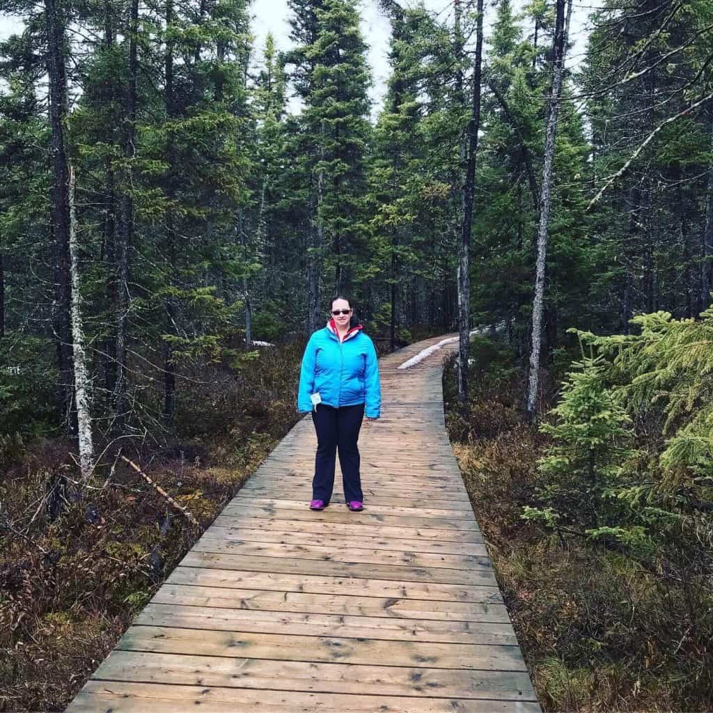 Board Walk Trail Algonquin Park