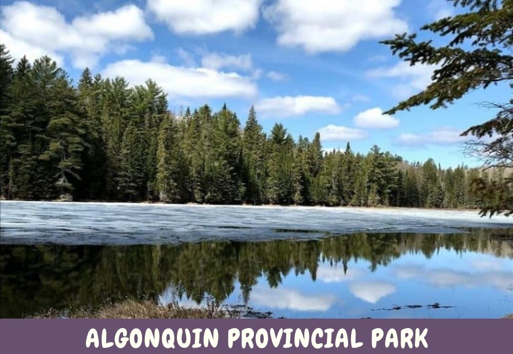 Things to do at Algonquin Provincial Park