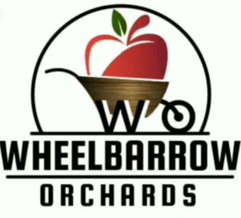 pick your own apples near mississauga wheelbarrow orchards