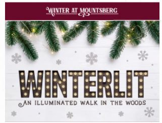 Winterlit at Mountsberg