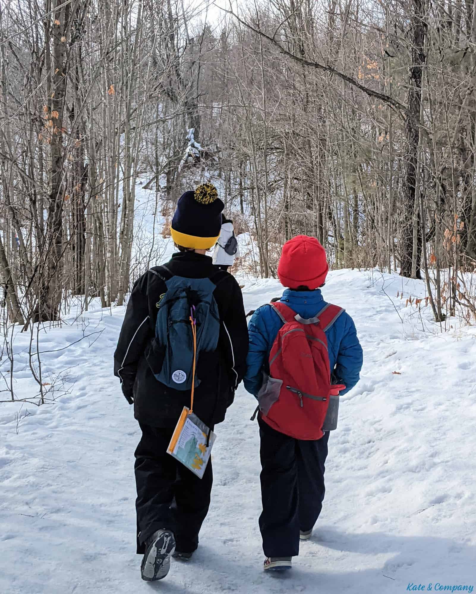 Winter Activities in Mississauga and Surrounding Area - The Exploring Family