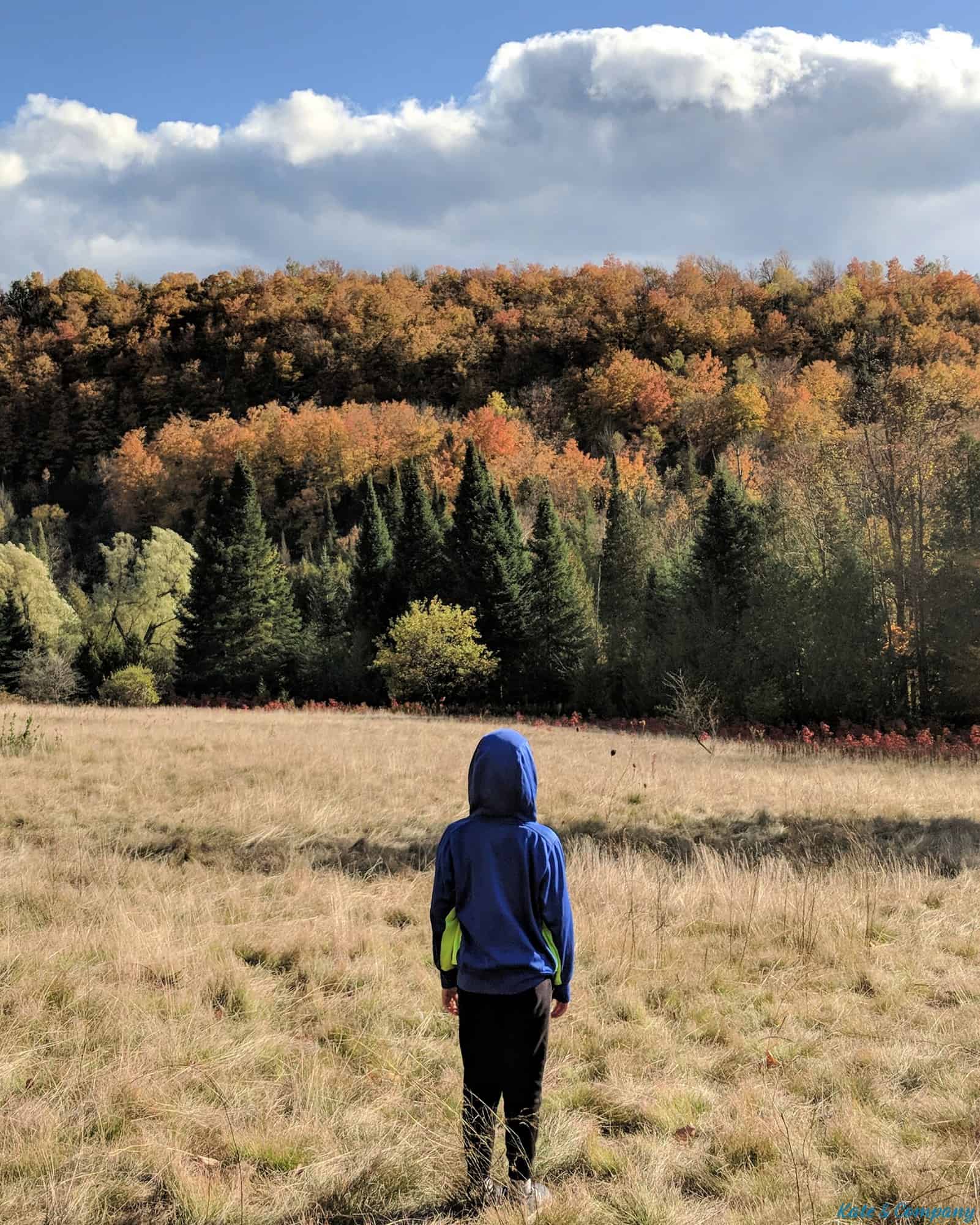 Things to do at Forks of the Credit Provincial Park