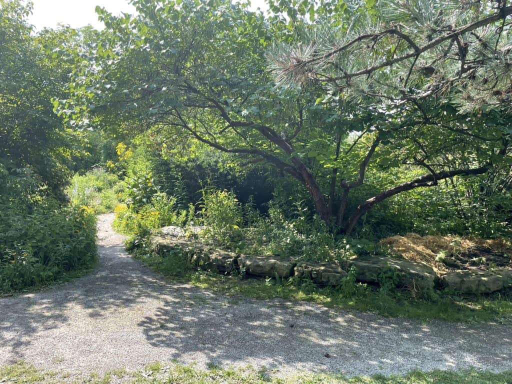 Stroller Friendly Trails in Hamilton