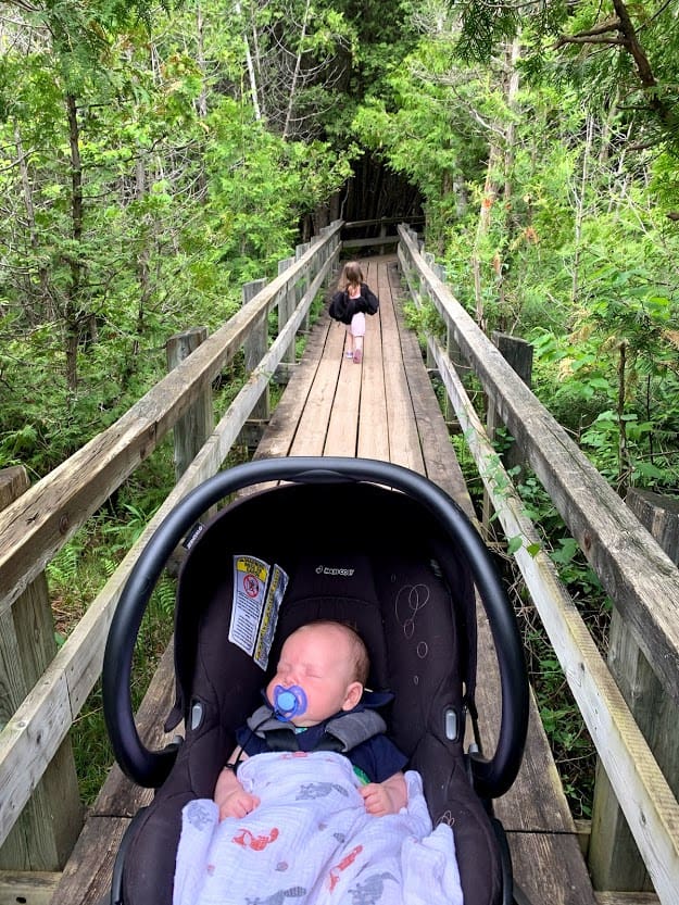 crawford lake - stroller friendly trail