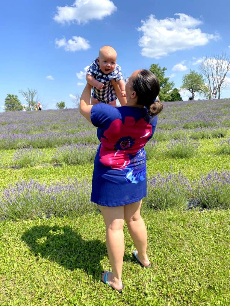 Terre Bleu Lavender Farm/Things to do in Milton with Kids