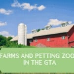 Farms and Petting Zoos in the GTA