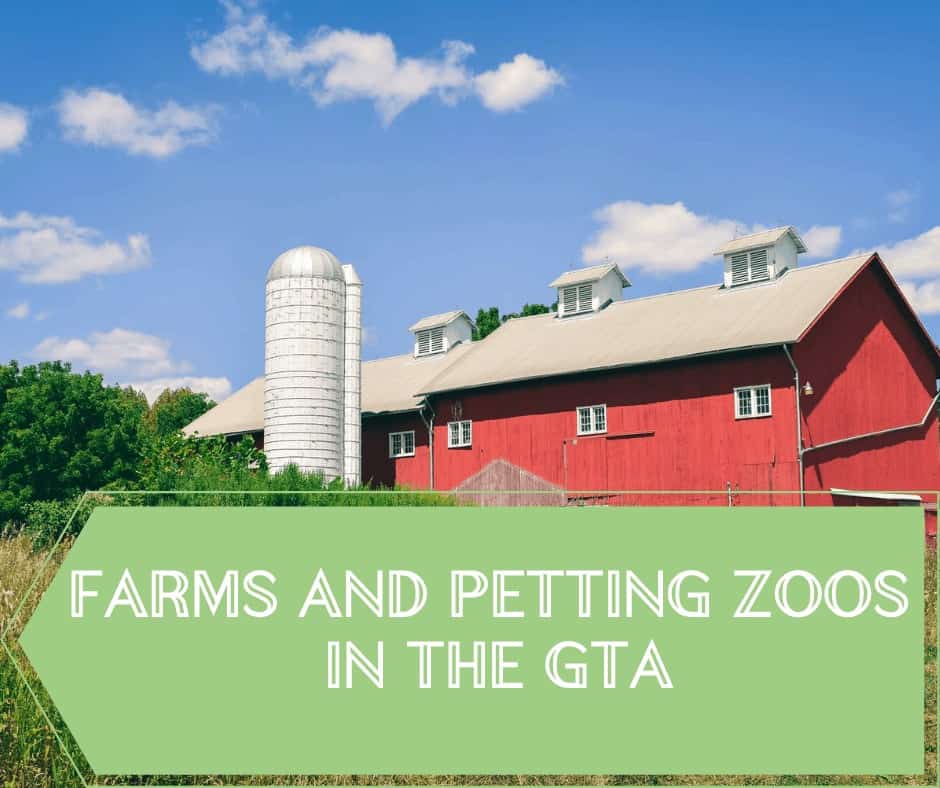 Farms and Petting Zoos in the GTA
