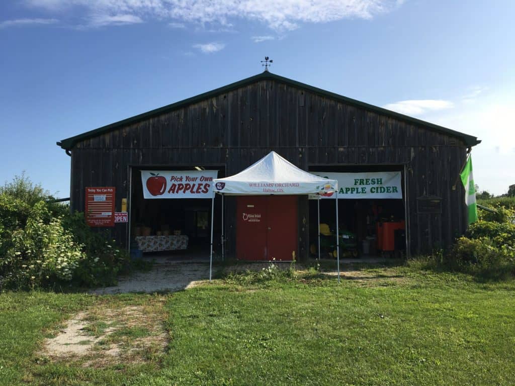 Apple orchards in Milton