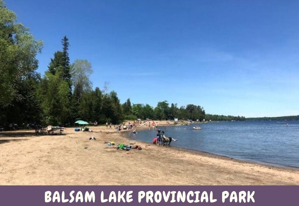 A Guide on Things to do at Balsam Lake Provincial Park Camping - The ...