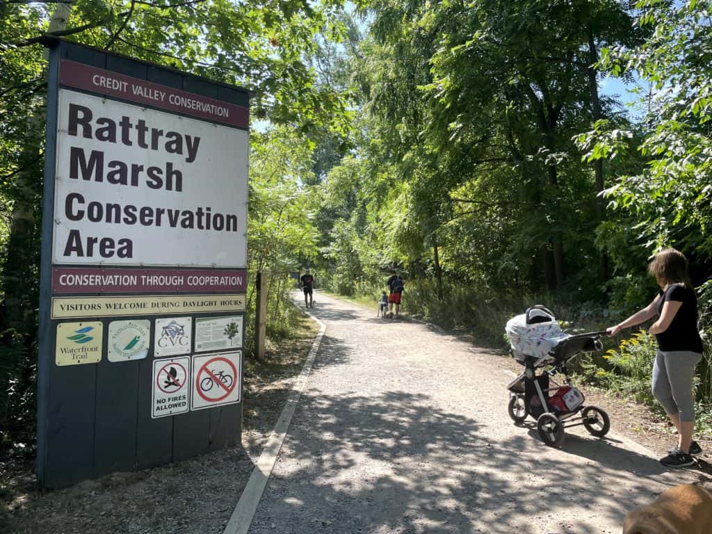 Rattray Marsh Trail