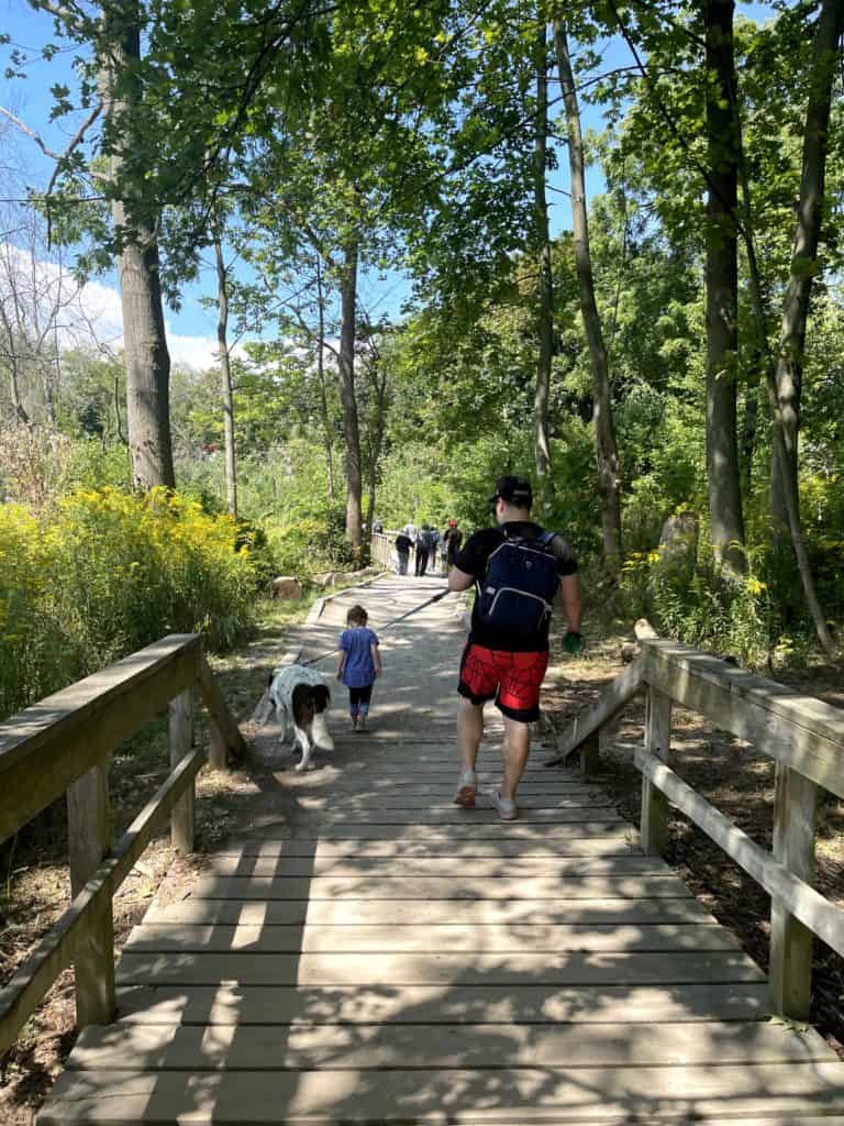 Rattray Marsh Trail