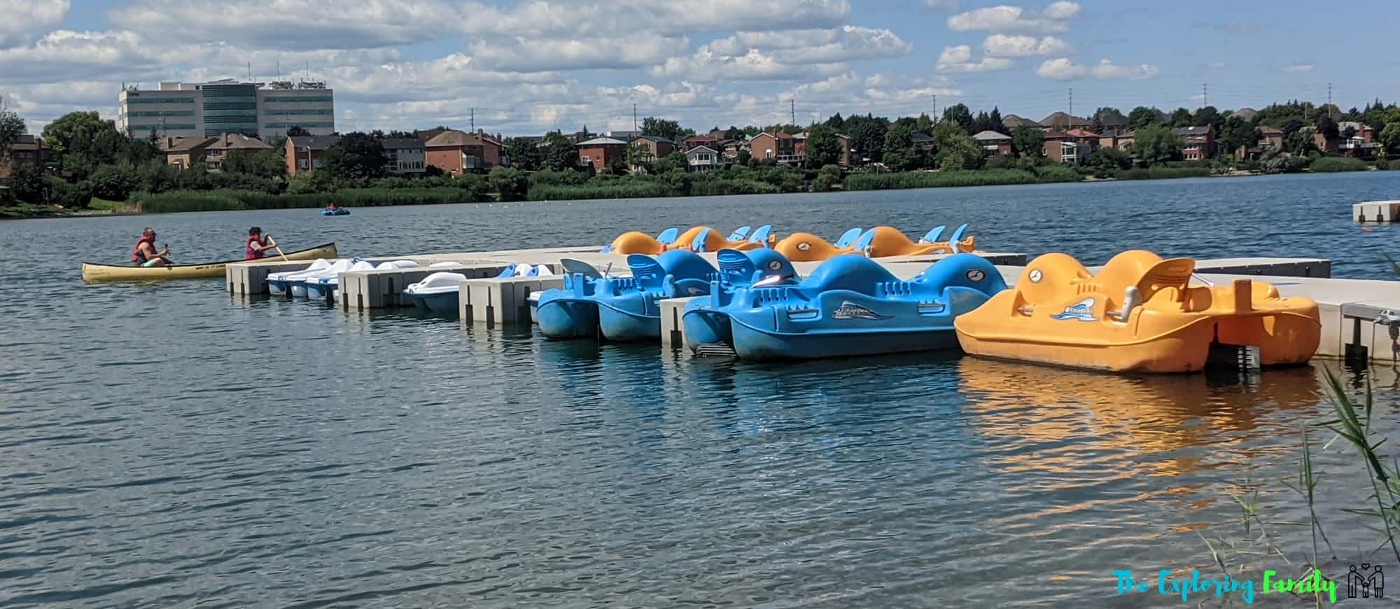 Professors Lake rentals paddle boats kayaks