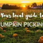 Pumpkin Picking Near Mississauga