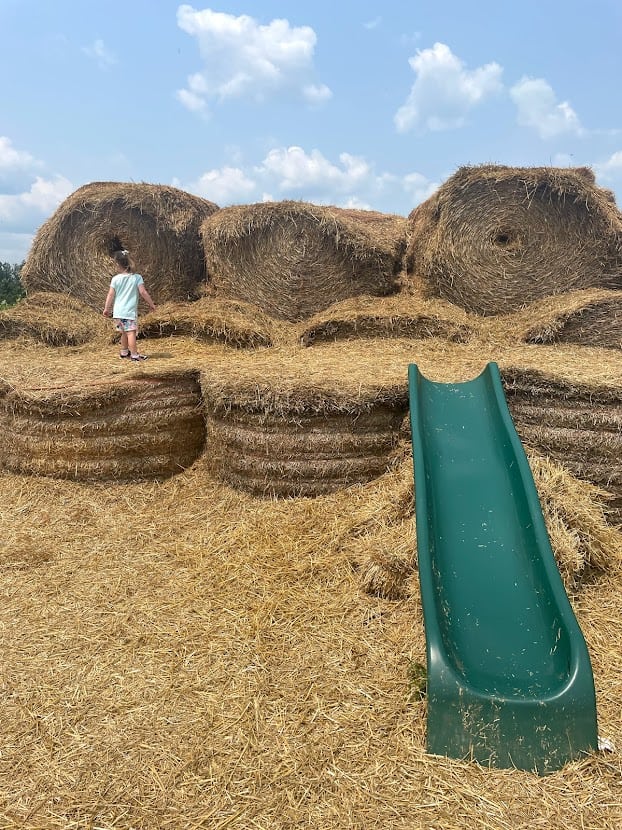 Fall Fun at Andrew Scenic Acres