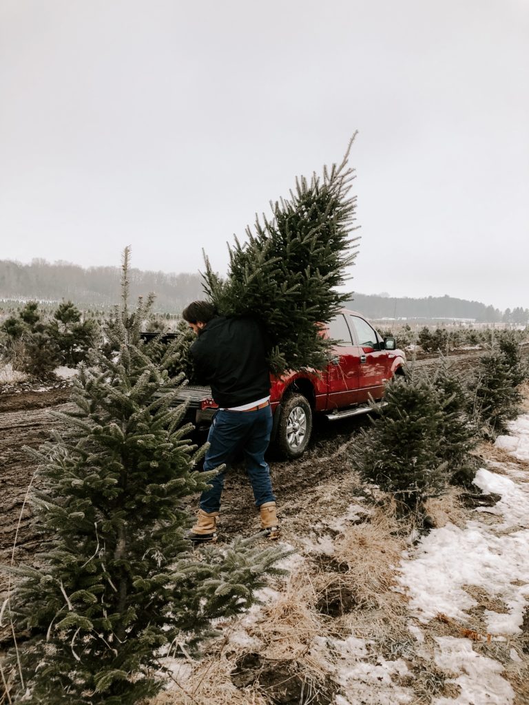 Local Christmas Tree Farms in Ontario