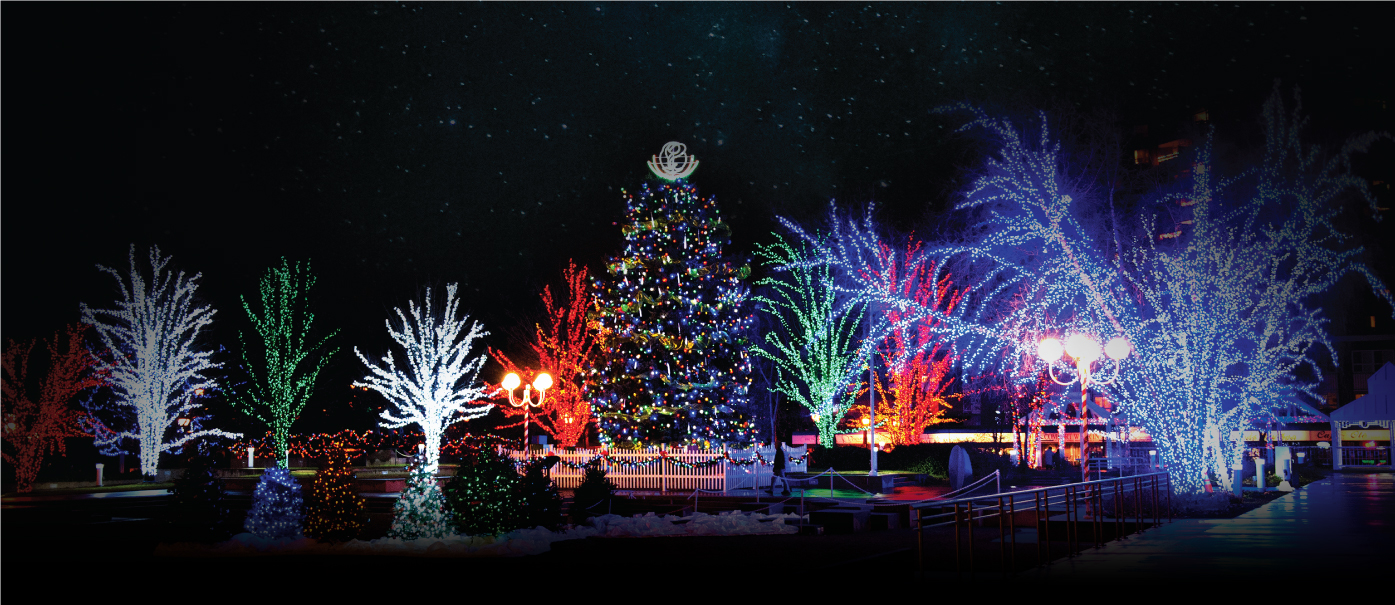 Brampton Festival of Lights