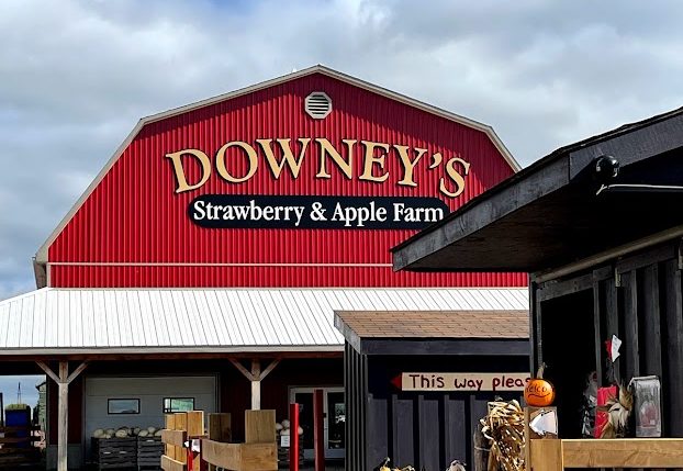 Downeys Farm store