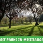 Best Parls in Mississauga