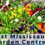 Garden Centre in Mississauga
