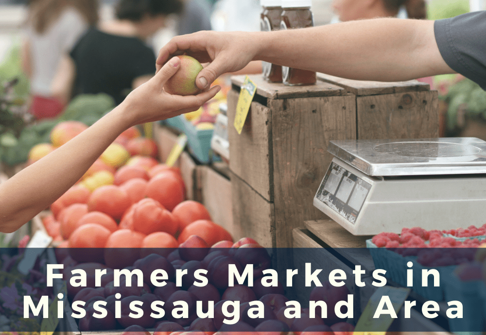 Farmers Market in Mississauga