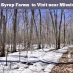 Maple Syrup Farms near Mississauga