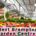 Garden Centre in Brampton