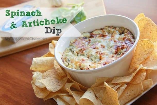 25 Of The Most Incredible Nacho Dip and Salsa Recipes - The Exploring ...