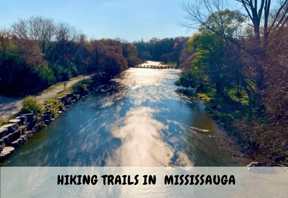 Hiking Trails in Mississauga