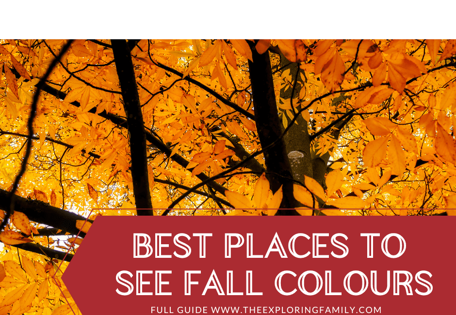 Best Places to see Fall Colours