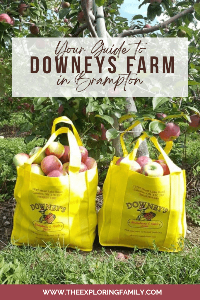Downeys Farm 