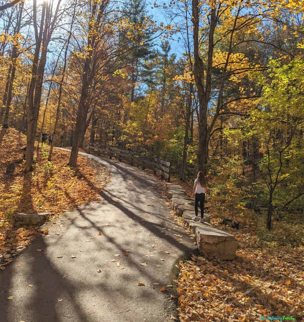 Lions Valley Park oakville fall colours hiking