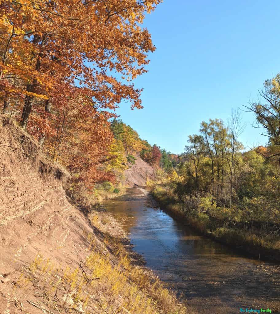 river in Lions valley park