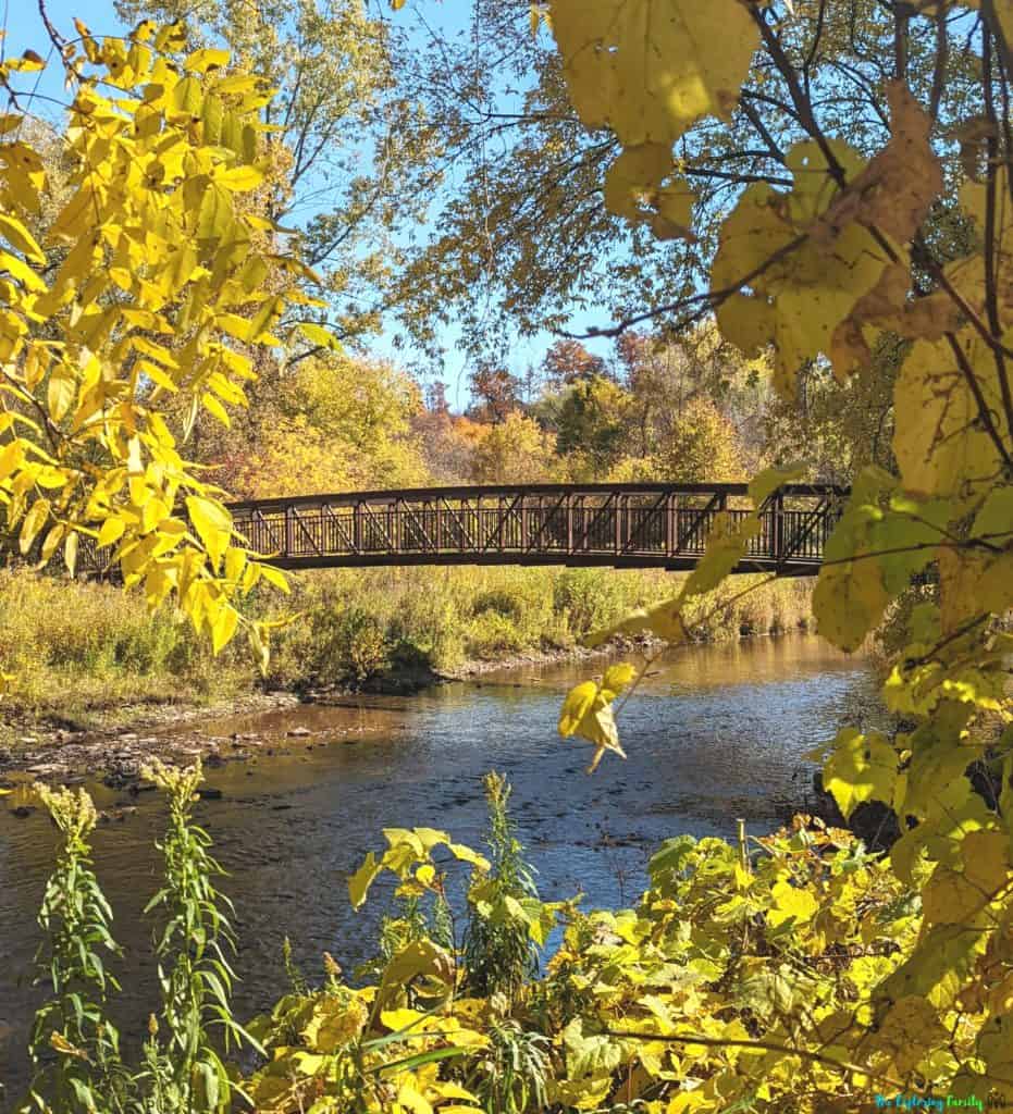 lions valley park bridge