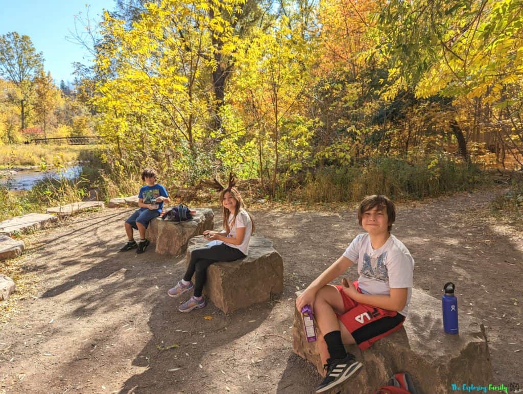 Lion's Valley Park Picnic spots