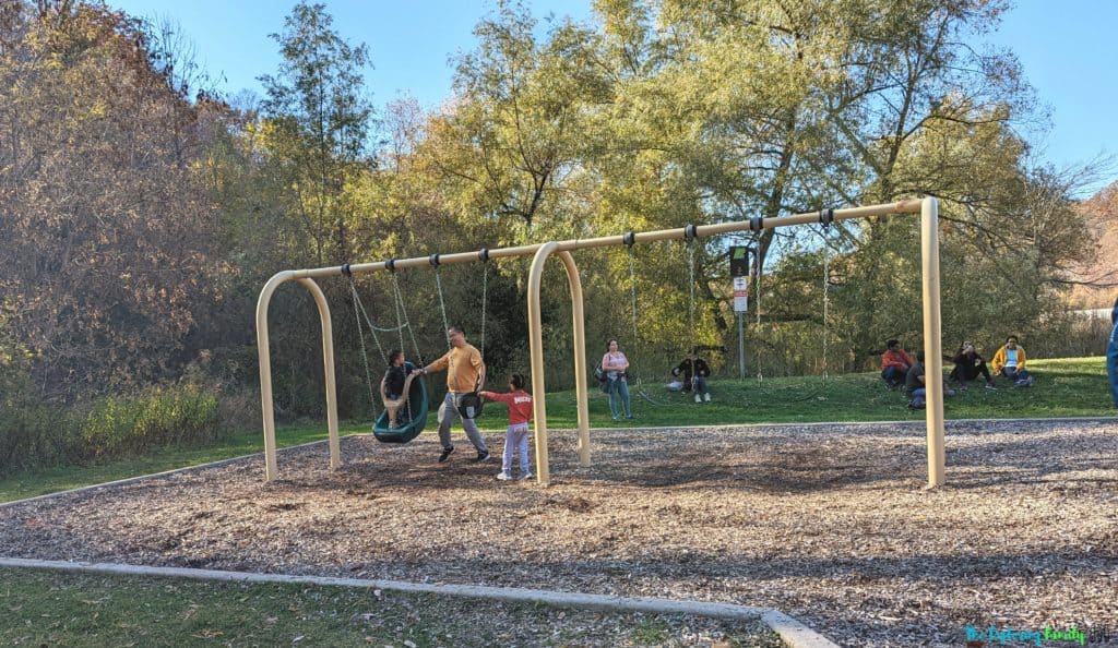 Lions Valley Park playground swings