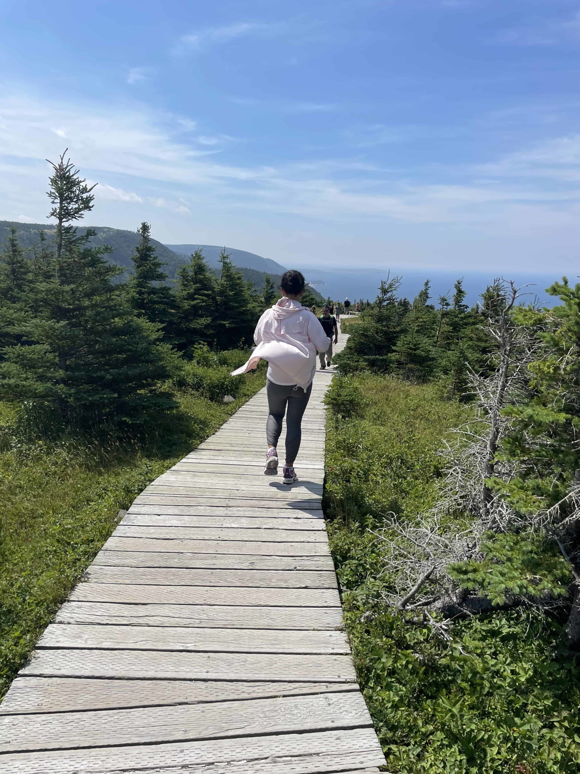 Cape Breton Skyline Trail