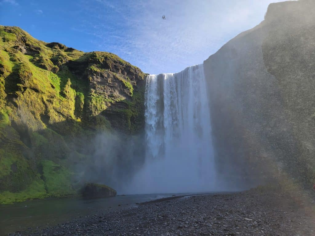 Vik-Iceland with Kids