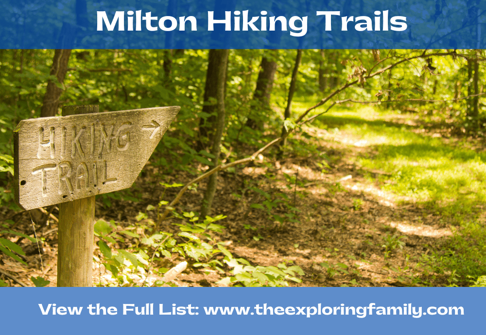 The Best Hiking Trails in Halton Region