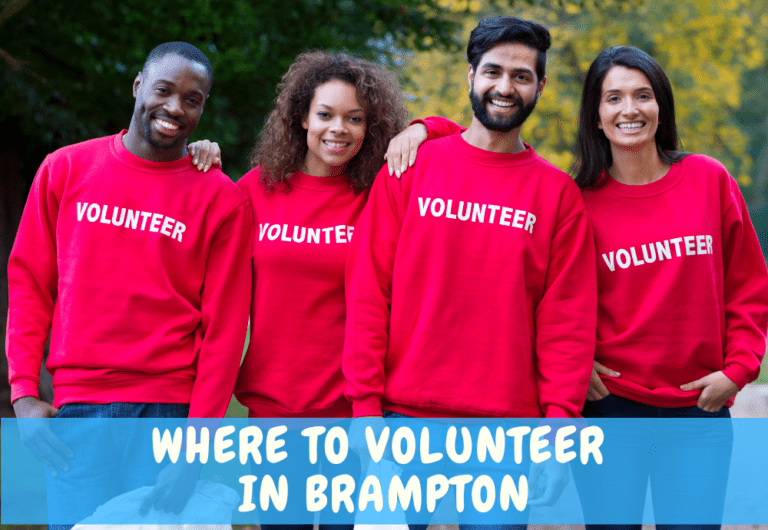 15 Awesome Places To Volunteer In Brampton 2024 The Exploring Family   Guide To Volunteer In Brampton 1 768x530 