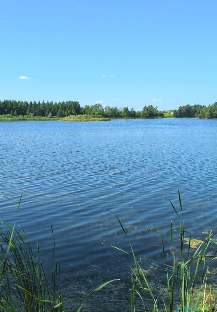 Island Lake conservation area hiking 