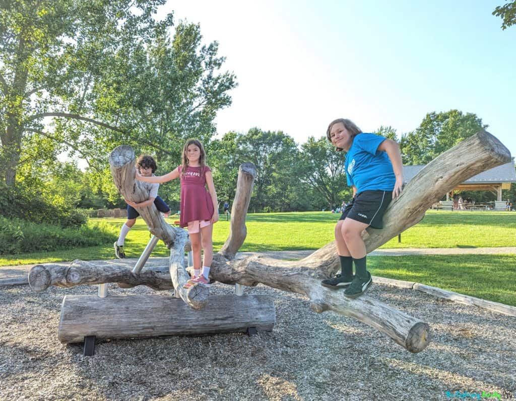 Island lake conservation area playground