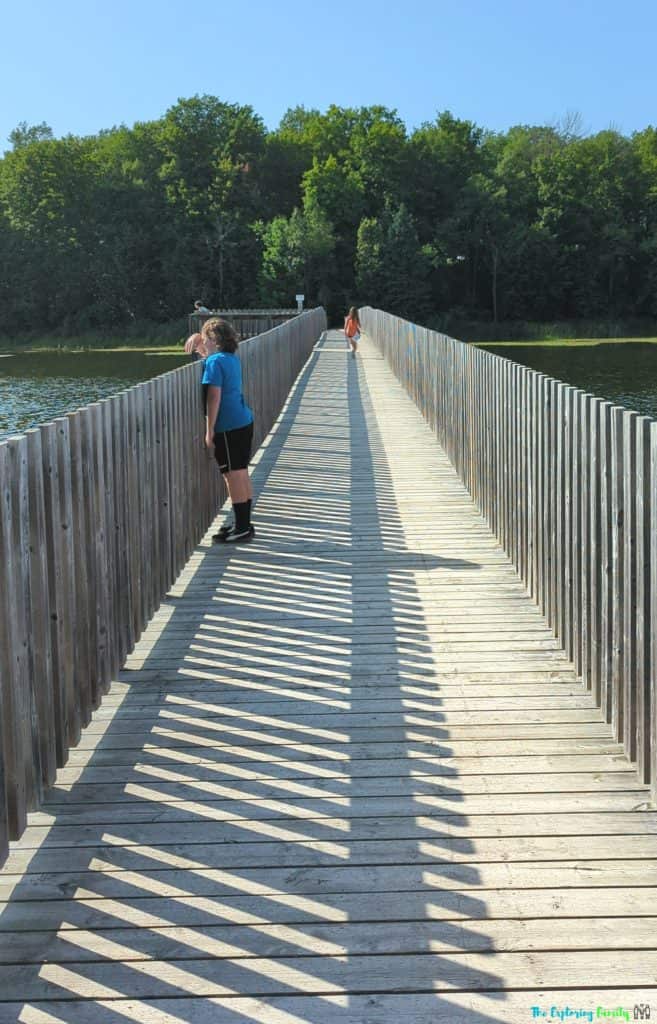 Island lake conservation area hiking