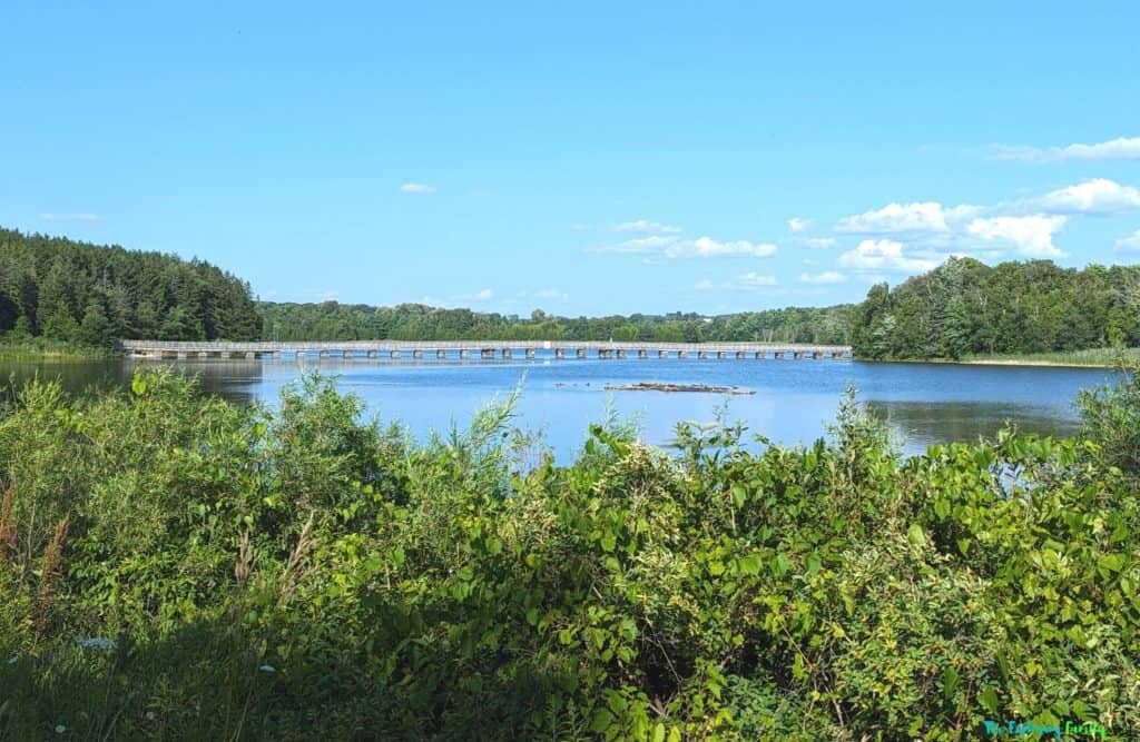 Island lake conservation area hiking