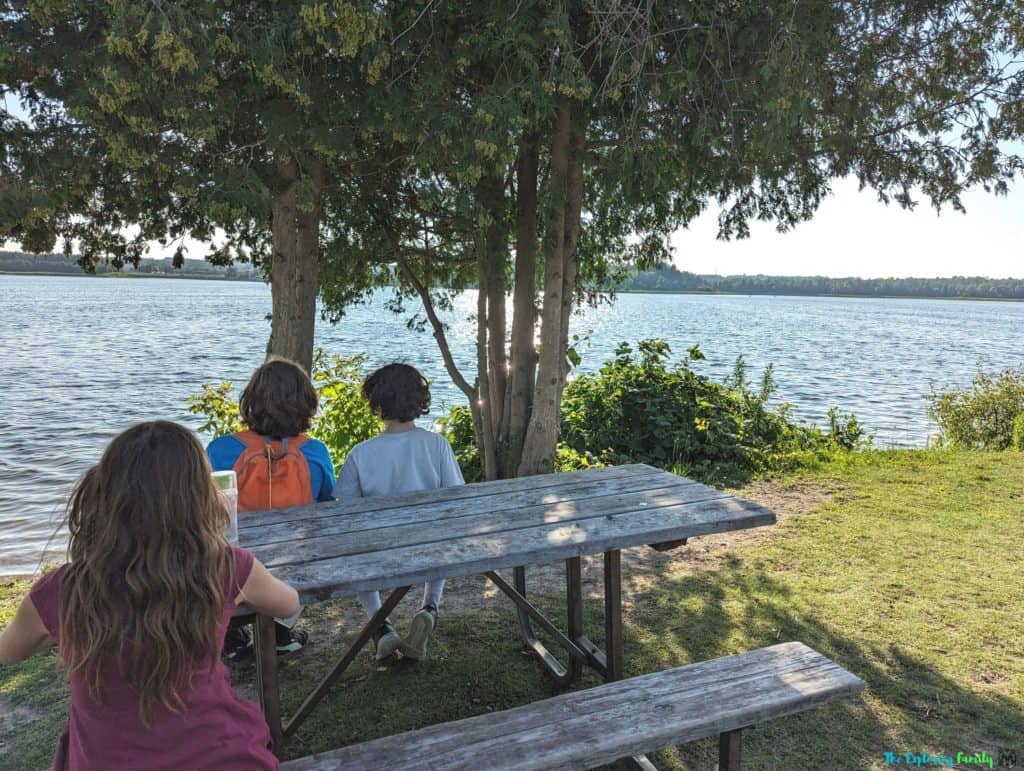 Island Lake conservation area hiking picnic tables