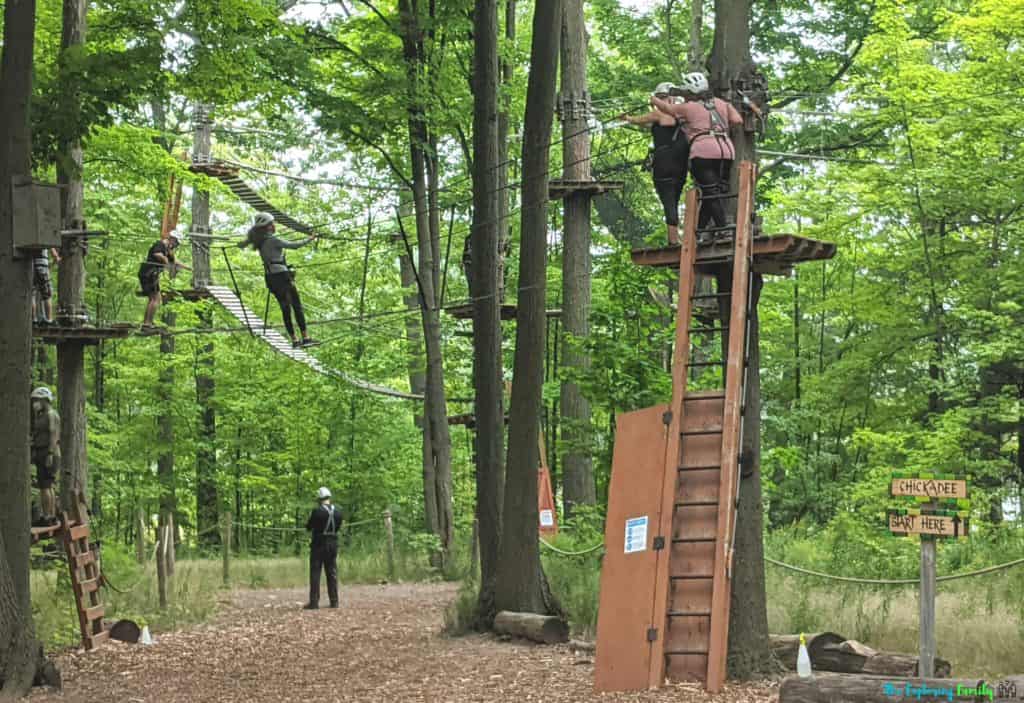 Brampton treetop trekking